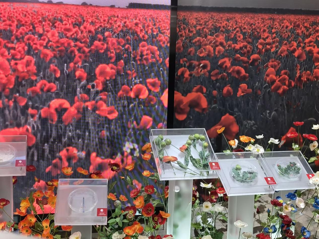 56A078B72A533B6778BEB2C3949C9DF6